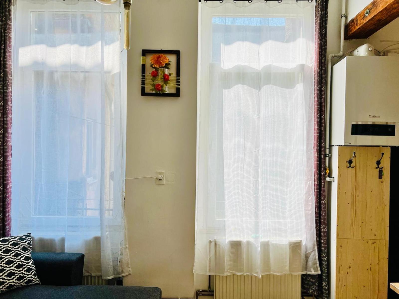 Elizabeth Brasov Apartment ภายนอก รูปภาพ