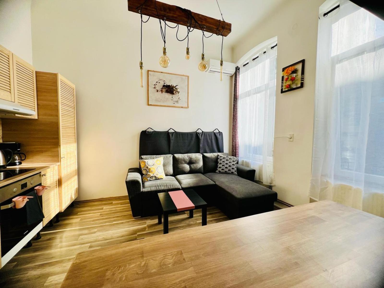 Elizabeth Brasov Apartment ภายนอก รูปภาพ